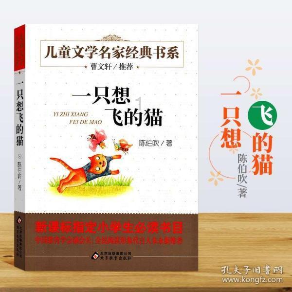 石家庄市阳光小学开展交通安全教育
